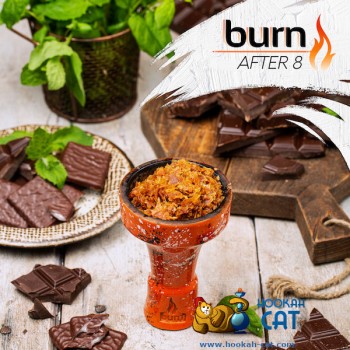 Заказать кальянный табак Burn After 8 (Берн Шоколад Мята) 25г онлайн с доставкой всей России